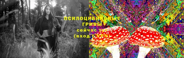 соль курить ск Богородицк