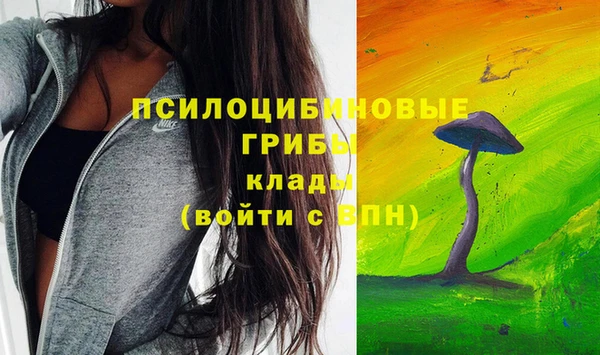 соль курить ск Богородицк